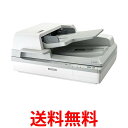 エプソン A3高耐久フラットベッドスキャナー DS-60000 スタンダードモデル 送料無料 【SG70943】