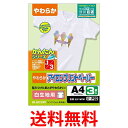 エレコム アイロンプリントペーパー A4サイズ 3枚入り 白生地用 EJP-WPN1 送料無料 【SG72003】