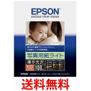 EPSON ʐ^pCg KGTCY 100 KKG100SLU  ySG74749z