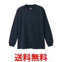 ヘインズ H5186-2 メンズ ネイビー M(2枚組) ビーフィー ロングスリーブ Tシャツ ロンT 長袖 2枚組 BEEFY-T 綿100% 送料無料 【S...