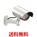 オーム monban 防犯ダミーカメラ 常時点滅 24時間点灯タイプ 乾電池式 空き巣対策 OSE-PDCW3 07-8697 送料無料 【SG96248】