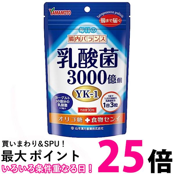 山本漢方製薬 乳酸菌粒 90粒 送料無料 【SK01839】のサムネイル