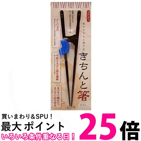 イシダ 矯正箸 ブルー きちんと箸 おとな用 右利き 約23cm 箸がきちんと持てる 送料無料 【SK02348】 1