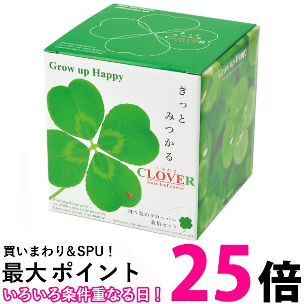 聖新陶芸 きっとみつかる四つ葉のクローバー栽培セット 12.3cm 送料無料 【SK02452】