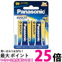 パナソニック 乾電池 エボルタ アルカリ乾電池 6LR61EJ/2B 9V形 2本パック 送料無料 【SK03593】