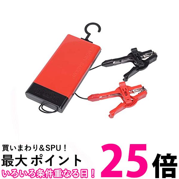 エーモン 8864 メモリーバックアップ EV車 HV車 アイドリングストップ車対応 送料無料 【SK04415】