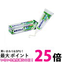 新ポリグリップ 部分 総入れ歯安定剤 極細ノズル 40g 送料無料 【SK05984】