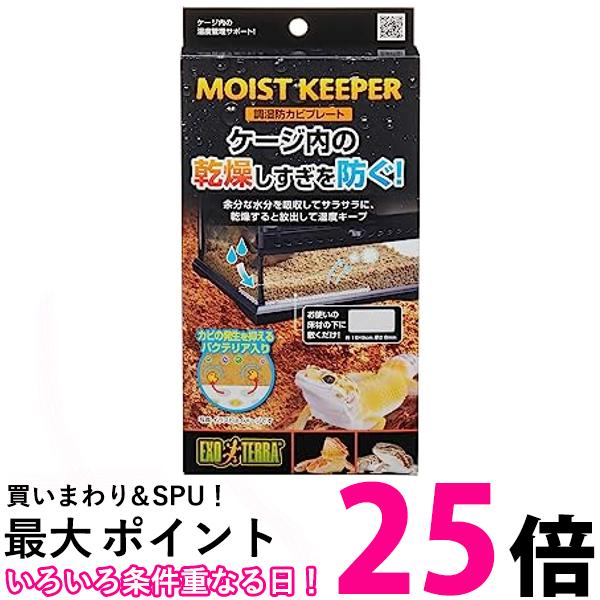 ジェックス EXOTERRA 調湿防カビプレート 爬虫類 両生類 GEX 送料無料 【SK12639】