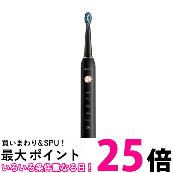 電動歯ブラシ 歯ブラシ 本体 替えブラシ 8本 口内ケア 歯磨き USB充電式 IPX7防水 (管理S) 送料無料 【SK15358】
