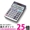 カシオ DS-12WT-N 本格実務電卓 12桁 グリーン購入法適合 デスクタイプ 送料無料 【SK17139】