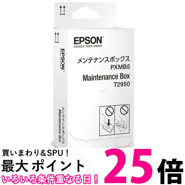 エプソン PXMB5 メンテナンスボックス 送料無料 【SK17237】