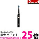 2個セット 電動歯ブラシ 歯ブラシ 本体 替えブラシ 8本 口内ケア 歯磨き USB充電式 IPX7防水 (管理S) 【SK20471】