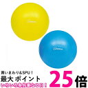 2個セット トーエイライト H9345Y H9345B ジスタス ピラティスボール200 黄 青 直径20cm セット 送料無料 【SK20538】