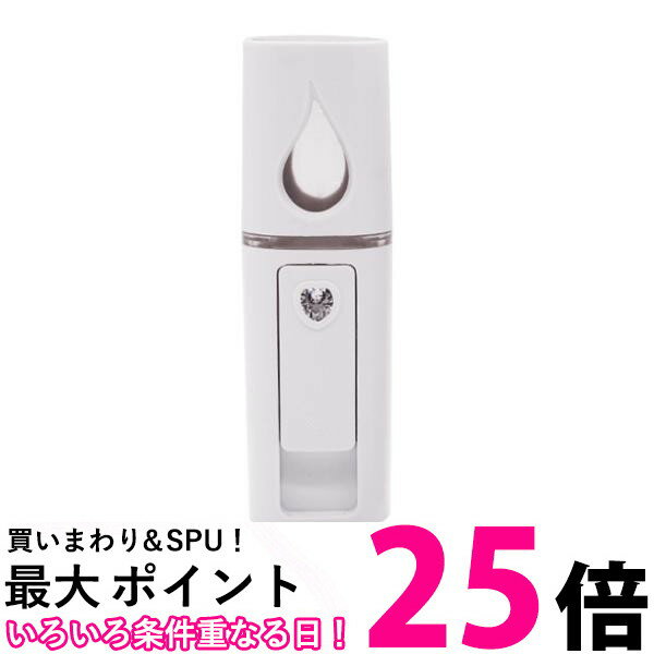 ハンディミスト 美顔器 フェイススチーマー 携帯 2個セット 加湿器 美顔器 スプレー 携帯用 保湿 美容器 毛穴ケア スキンケア 送料無料 【SK20696】