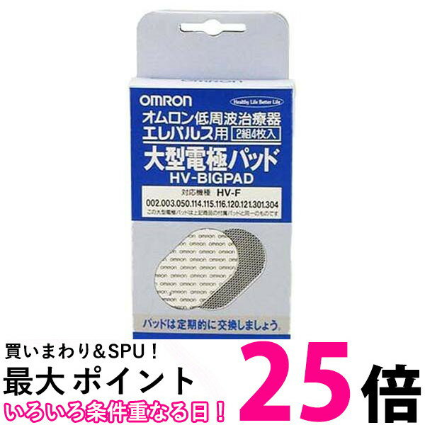 10個セット オムロン HV-BIG-PAD 交換パッド 低周波治療器用 大型電極パッド エレパルス用 2組4枚入 送料無料 【SK21171】