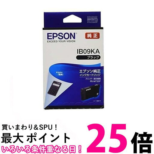 2個セット エプソン IB09KA ブラック 標準インク 純正 インクカートリッジ 送料無料 【SK23525】 2個セット エプソン IB09KA ブラック 標準インク 純正 インクカートリッジ 送料無料 【SK23525】
