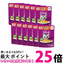 12個セット カルカン パウチ 15歳から 味わいチキン 60g ペットフード 猫 キャットフード ウェット 送料無料 【SK25498】