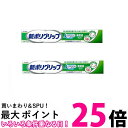 2個セット 新ポリグリップ 75g 無添加 入れ歯安定剤 送料無料 【SK25589】