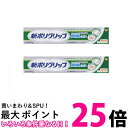 2個セット 新ポリグリップ 部分 総入れ歯安定剤 極細ノズル 40g 送料無料 【SK25595】