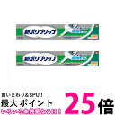 2個セット 新ポリグリップ 部分 総入れ歯安定剤 極細ノズル 70g 送料無料 【SK25598】