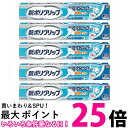 5個セット 新ポリグリップ 部分 総入れ歯安定剤 極細ノズル メントール配合 70g 送料無料 【SK25603】