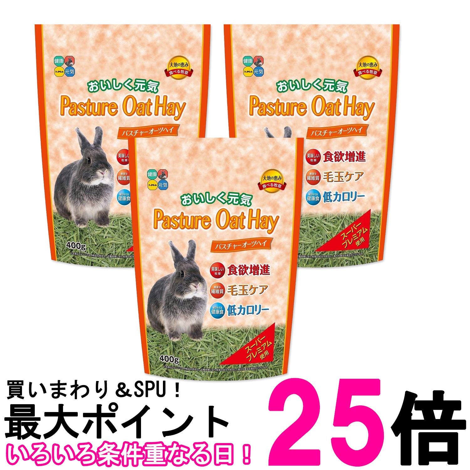 3個セット ハイペット パスチャーオーツヘイ 400g 牧草 ウサギ うさぎ小動物 送料無料 【SK26934】のサムネイル