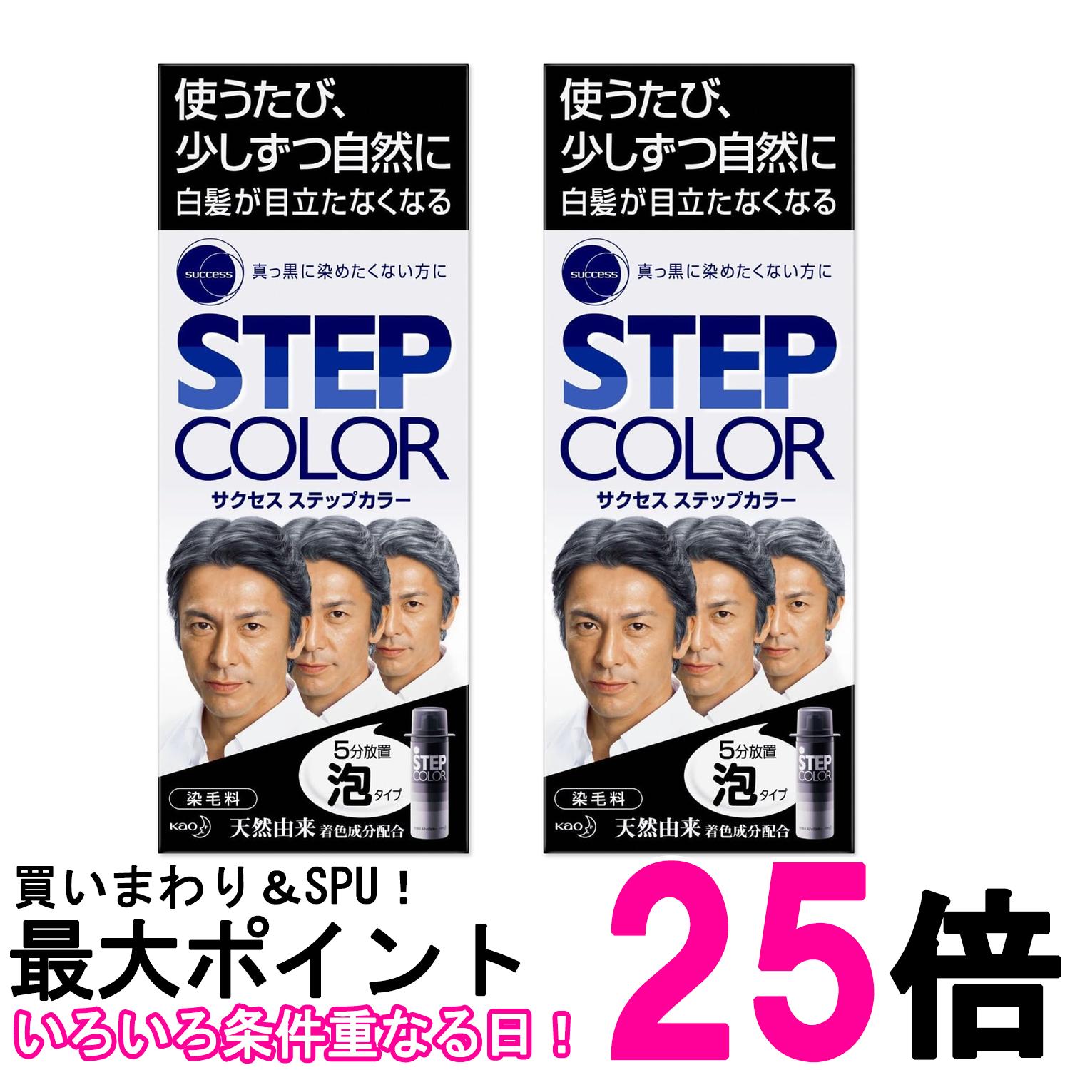 2個セット 花王 サクセス ステップカラー 110g 白髪染め 送料無料 【SK27605】
