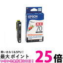 2個セット エプソン ICBK70 ブラック さくらんぼ 純正 インクカートリッジ 送料無料 【SK30092】