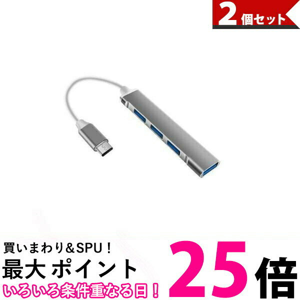 2個セット USBハブ USB3.0 Type-C バスパ