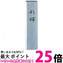 呉竹 AM2-5 銀泥墨 彩輝 0.5丁型 送料無料 【SG40132】