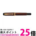 呉竹 DBA140-13 くれ竹万年筆 夢銀河 越前白檀塗り 朱 送料無料 【SG40234】