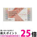 呉竹 MS-3400/12V ZIG メモリーシステムカリグラフィー 12V 送料無料 【SG40466】