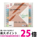 呉竹 MS-3500/12V ZIG メモリーシステムカリグラフィー 12色セット 送料無料 【SG40468】