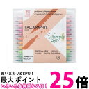 呉竹 MS-3500/24V ZIG メモリーシステムカリグラフィー 24色セット 送料無料 【SG40469】