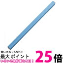 呉竹 KC31-10H 呉竹カラー文鎮 空 送料無料 【SG40754】