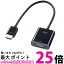 掠ץ饤 AD-HD24VGA HDMI-VGAѴץ ̵ SG42238