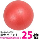 ダンノ バランスボール ソフトギムニク D5415 レッド 直径23cm DANNO 送料無料 【SG43894】