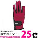 ハタチ グラウンドゴルフ ストレッチ手袋 ワイン SS BH8080 HATACHI 送料無料 【SG44090】
