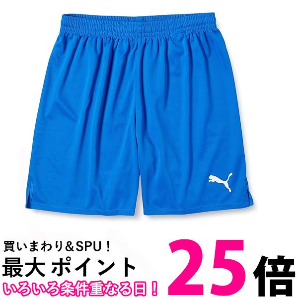 ס ϡեѥ å 729971  쥯ȥå֥롼͡/ۥ磻02 XL ̵ SG44466