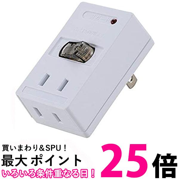 2個口　雷ガード　LED節電スイッチ付き　（強化モデル） 送料無料 【SG60121】