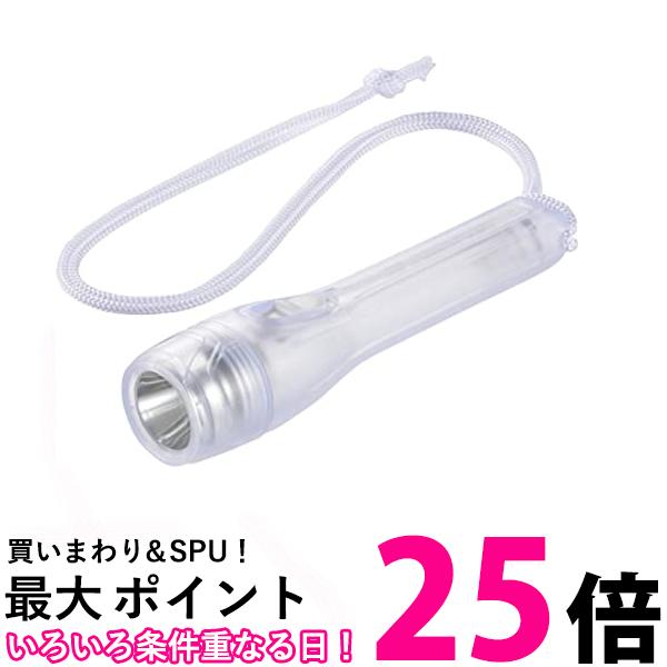 オーム電機 LED懐中ライト（単3形×2本付属/69lm/白色LED/連続使用29時間/ホワイト） LHP-06B5-W 送料無料 【SG63331】