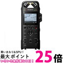 ソニー リニアPCMレコーダー 16GB ハイレゾ録音 / 192KHz 24bit録音 / プリレコーディング機能 PCM-D10 送料無料 【SG63889】