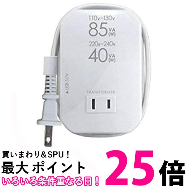  2ѰUSB110-130V85VA220-240V40 WT-76M ̵ SG79494