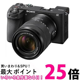 ソニー APS-C ミラーレス一眼カメラ α6700 高倍率ズームレンズキット（同梱レンズ SEL18135） ブラックILCE-6700M 送料無料 【SG80456】