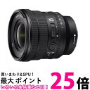 \j[ LpY[Y tTCY FE PZ 16-35mm F4 G GY fW^JE}Egp Y SELP1635G  ySG80543z