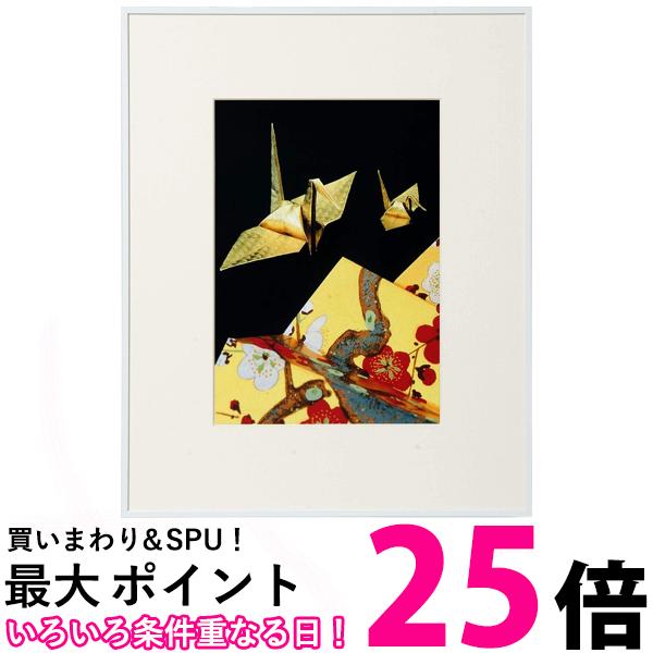 ケンコー アルミ額縁 ケンコー 画廊 ガラスタイプ A4 ホワイト AGR-A4-WH 送料無料 【SG84420】