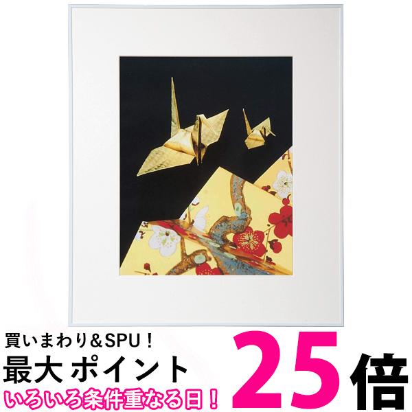 ケンコー アルミ額縁 ケンコー 画廊 ガラスタイプ 半切 ホワイト AGR-H-WH 送料無料 【SG84432】