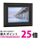 ケンコー アルミ額縁 ルックマイルド 2L ガラスパネル スタンド付きブラック ALM-2L-BK 送料無料 【SG84437】