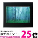 ケンコー 額縁 ギャラリー A2 アクリルタイプ アルミフレーム ブラック AGY-A2-BK 送料無料 【SG84539】