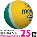 molten(モルテン) ドッジボール ライトドッジ 軽量2号球 黄×緑 SLD2ML 送料無料 【SG86255】